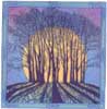 Winter Solstice