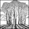 Winter Solstice